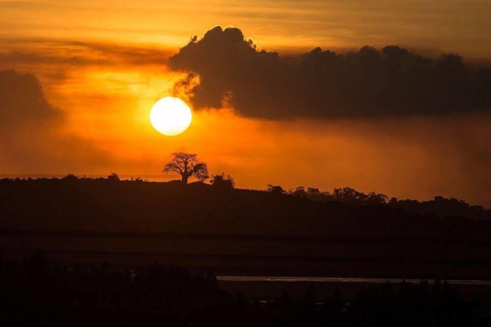 Pousada Vivenda Dos Corais Pôrto das Galinhas Dış mekan fotoğraf